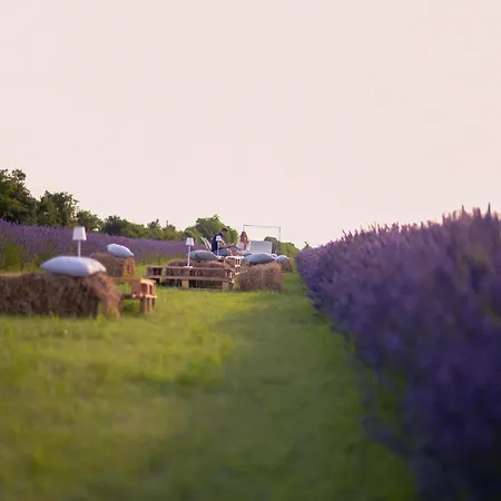 Belvilla By Oyo Mascia Holiday home Asciano