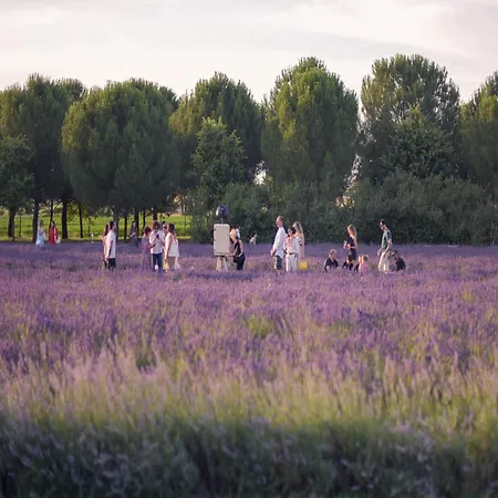 Belvilla By Oyo Mascia Holiday home