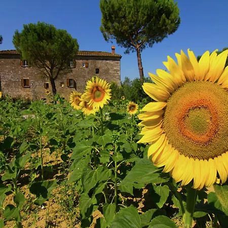 Belvilla By Oyo Mascia Holiday home